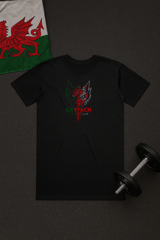 CRYFACH Wales T Shirt