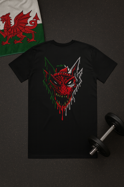 CRYFACH Wales T Shirt